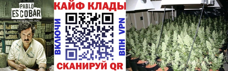 Где продают наркотики Мглин Героин ГАШ Амфетамин КОКАИН Alpha PVP