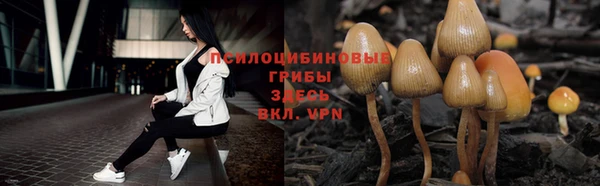 кокаин премиум Гусь-Хрустальный