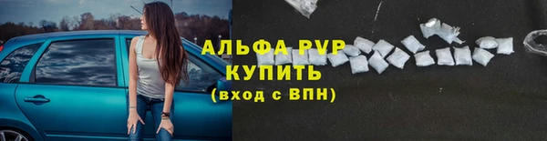 прущая мука Гусев