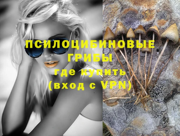 прущая мука Гусев