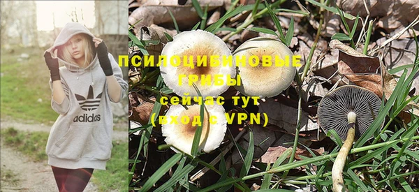 кокаин премиум Гусь-Хрустальный