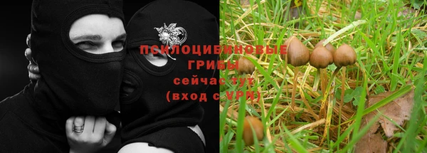 СК Гусиноозёрск