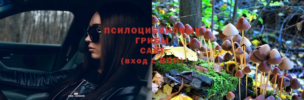 прущая мука Гусев